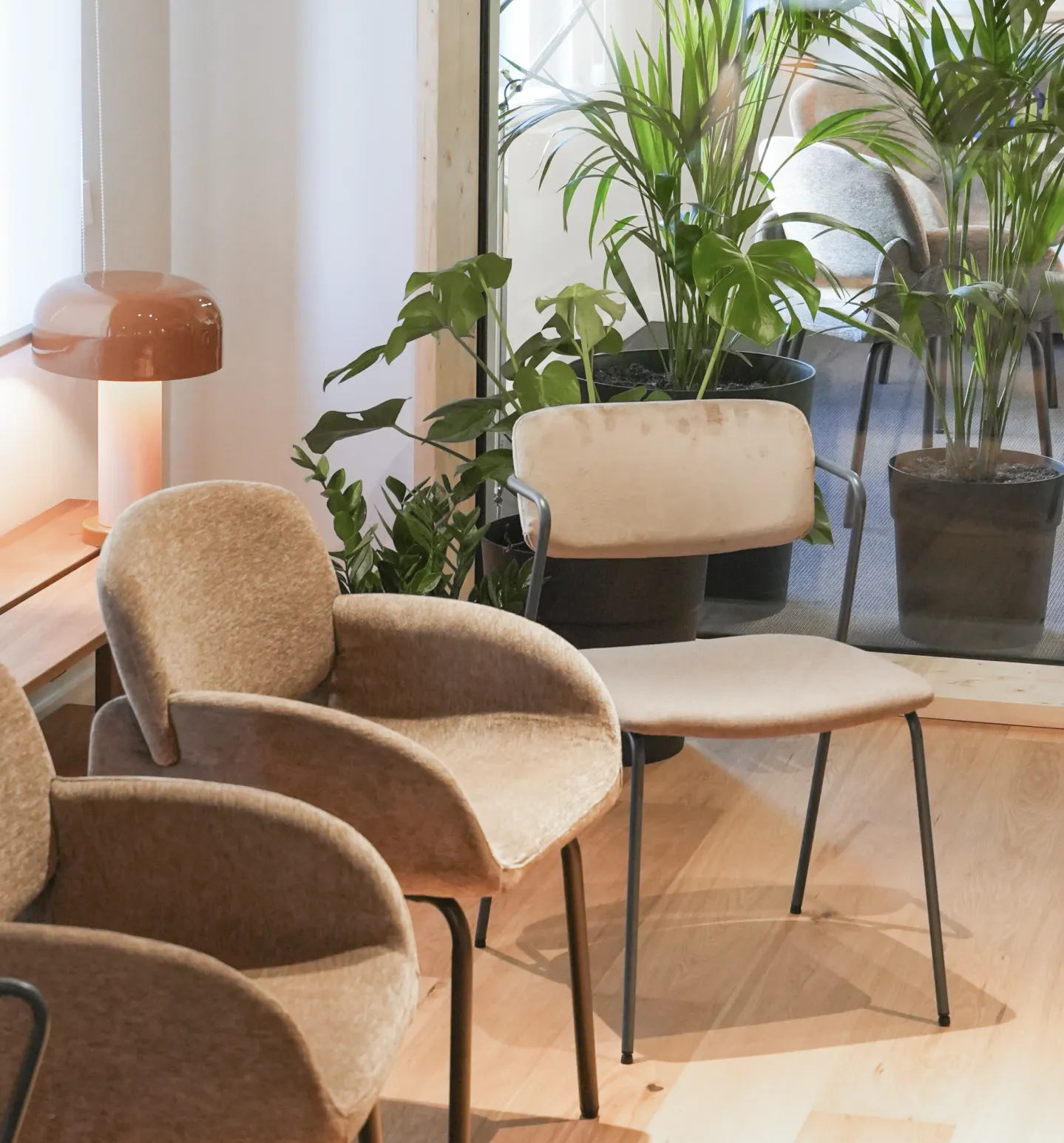 Ayuda a un adicto a la marihuana