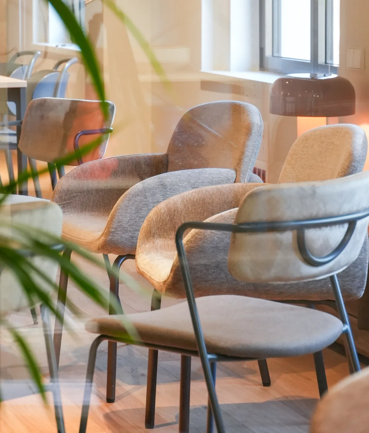 Tratamiento adicción cocaína